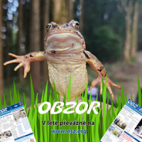 Žáby by kupovaly watercoolery 